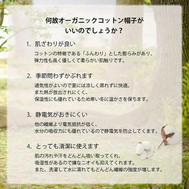 ALTAMO カラー オーガニックコットン ビックワッチ