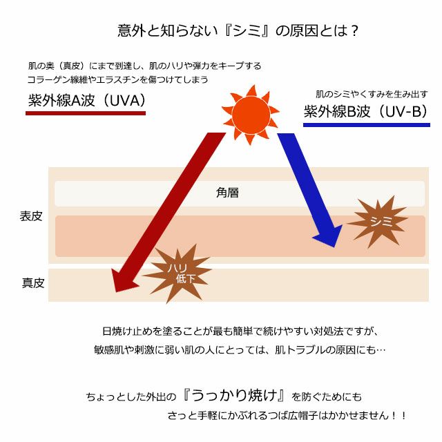 意外と知らないシミについて説明しています。