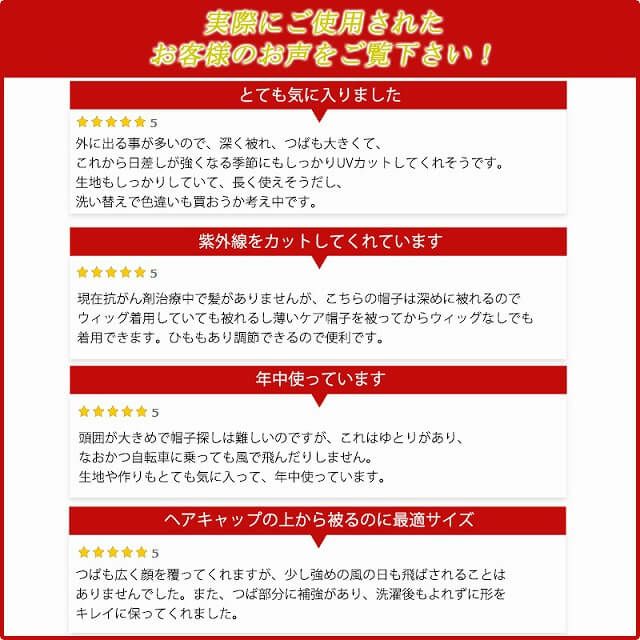 レビュー
